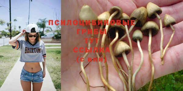 jwh Гусиноозёрск