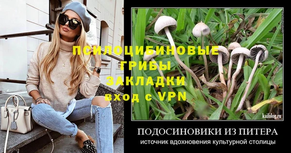 амфетамин Елабуга